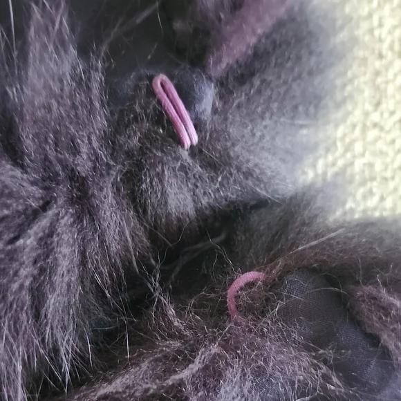 Women's Aubergine Fur Collar Jacket - Picture 9 of 12